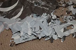 Biodegradable: Biodegradable plastic carrier bag
