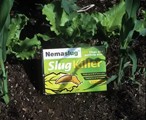 Methods: Biological control of slugs