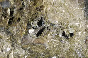 Mica: Biotite Mica