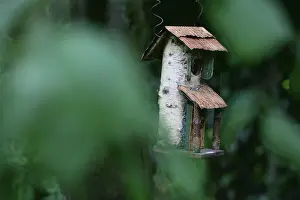 Opulent: Bird box