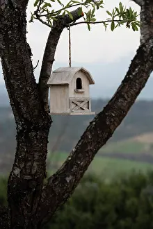 Relationship: Bird box