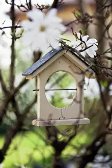 Stellata: Bird feeder