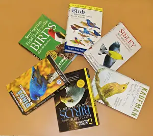 Shops: Bird Field Guides
