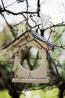 Stellata: Bird table