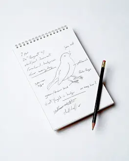 Notebook: Bird Watcher's Notebook - and pencil