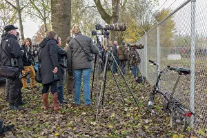 Photographers: Bird Watchers and Photographers near the Northern Hawk Owl