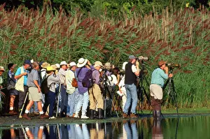 Birdwatchers: BIRD WATCHING - group by water