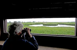 Hobbies: Bird watching from hide