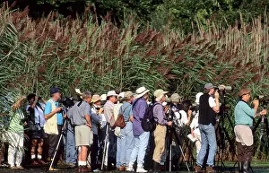 Cameras: Birders
