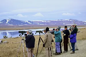 Cameras: Birders