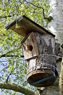 Birdhouse: Birdhouse in garden