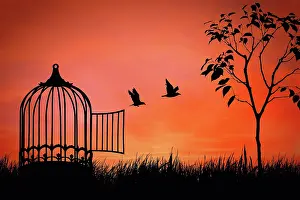 Information: Birds couple escaping from the cage. Freedom concept