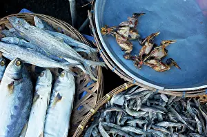 Selling: Birds and dried fish for sale