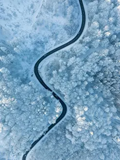Constance: Bird's eye view of a country road leading through