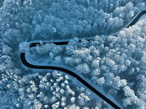 Constance: Bird's eye view of a country road leading through