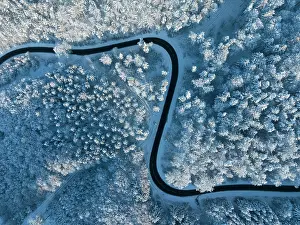 Constance: Bird's eye view of a country road leading through