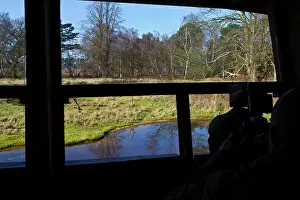 Hides: Birdwatcher in hide. The Lodge RSPB Nature Reserve