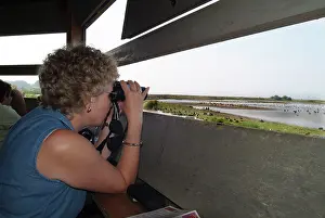 Binoculars: Birdwatcher - watching from hide