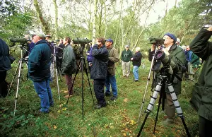 Binoculars: BIRDWATCHERS