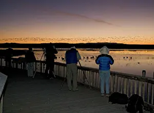 Binoculars: Birdwatchers - in the Bosque del Apache National
