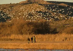 Birdwatchers: Birdwatchers - in the Bosque del Apache National