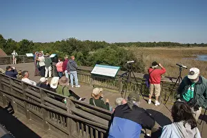 Binoculars: Birdwatchers - Cape May Hawk Watch Platform