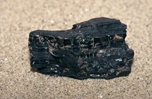 Fuel: Bituminous Coal