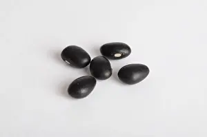 Vegetarian: Black Bean