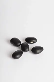Vegetarian: Black Bean