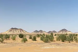 Libyan: Black desert, western libyan desert, Egypt, Africa
