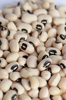 Legumes: Black Eyed Bean