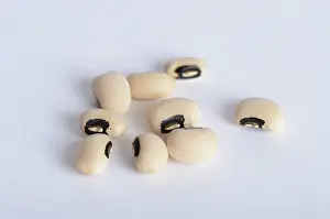 Legumes: Black Eyed Bean