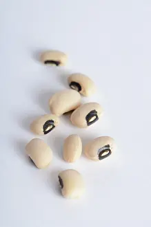 Legumes: Black Eyed Bean