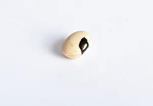 Legumes: Black-Eyed ^Pea^