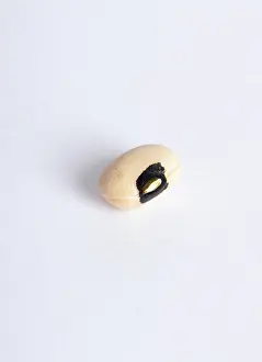 Legumes: Black-Eyed ^Pea^
