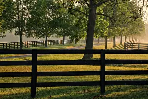 Kentucky: Black fences on horse farm at sunrise on foggy morning