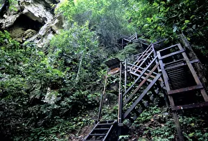 Steps: Black-Nest Swiftlet Cave, Malaysia
