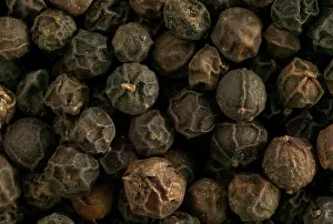 Spices: Black Peppercorns