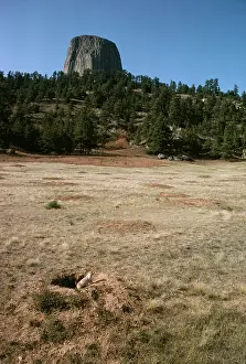 Township: Black-tailed PRAIRIE DOG - Prairie Dog township below tower