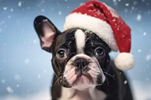 Generated: Black and white French Bulldogd og with red Santa