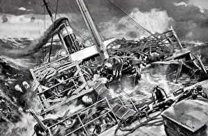 Beef: Black & White Illustration: Animals transported