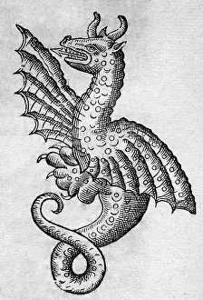 Woodcut: Black & White Illustration: Dragon - woodcut in
