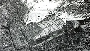 Decoy: Black & White Illustration: Duck decoy from Simpson