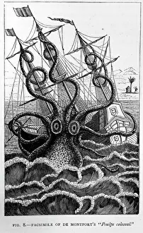 Attacks: Black & White Illustration: Giant Squid - historic