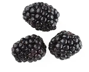 Blackberries: Blackberries