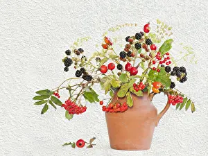 Vase: Blackberry, Rubus cultivar Rowan, Sorbus and Rosehip
