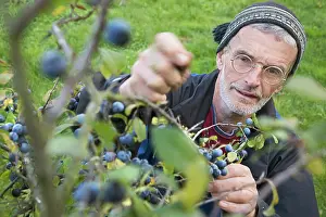 Sufficient: Blackthorn