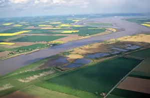 Rspb: Blacktoft Sands RSPB Reserve