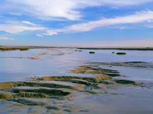 Blackwater: Blackwater ESTUARY - eroded mudflats