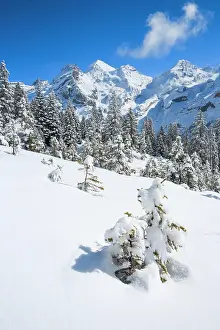 Kandersteg: Blaemlisalp Rothorn, Blaemlisalphorn, Oeschinenhorn